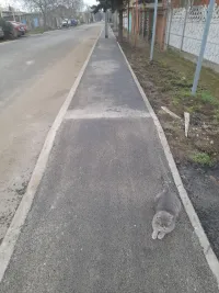 Новости » Общество: Жительница дома по улице Попова в Керчи выражает благодарность всем, кто помог решить ее проблемы