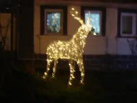 Новости » Общество: В Керчи новогодними гирляндами украсили не только учреждения