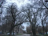 По улице Суворова в Керчи во время ветров лучше не ходить