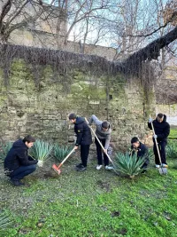 Новости » Общество: У школы №9 в Керчи заложили Аллею Памяти