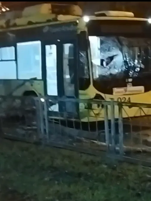 В Керчи тополь упал на троллейбус