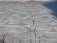 На внутренних водоемах в Керчи образовался тонкий лед