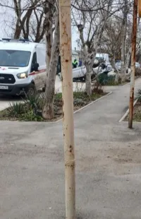 Новости » Криминал и ЧП: Серьезная авария в Керчи: машина перевернулась на улице Островского