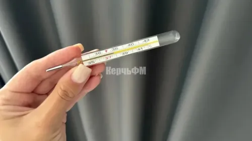 В Крыму на карантин по ОРВИ закрыты восемь школ и три детсада