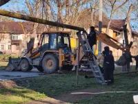 В Керчи дерево упало на газовую трубу