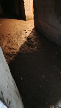 Новости » Общество: В подвале керченского дома по Айвазовского, 17 постоянно скапливается вода и нечистоты