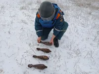 Новости » Общество: В ГО Керчь и Ленинском районе уничтожили 16 взрывоопасных предметов времен ВОВ