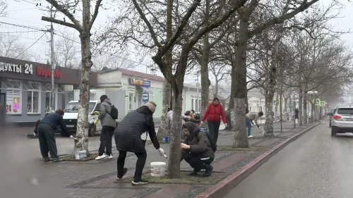 Белят деревья: в Керчи проходит субботник