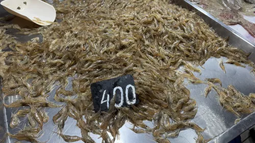 В рыбном корпусе на центральном рынке в Керчи сегодня было так