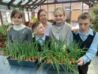 Зеленый уголок заботы и знаний: Урок цветоводства в Керченской специальной школе-интернате