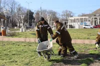 В Керчи закупят около 5 тысяч растений для весеннего озеленения