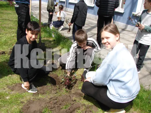 Школа №17 Керчи готовится к смотру-конкурсу  «Лучший двор образовательной организации-2026»