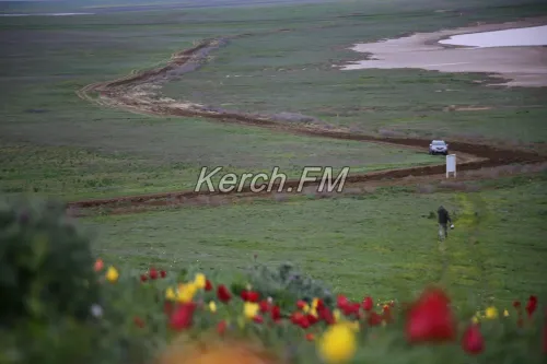 В Крыму продлили запрет на посещение Опукского и Казантипского заповедников