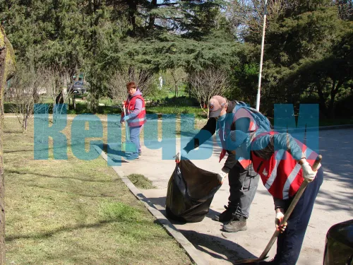 В Керчи наращивают темпы покоса травы на общественных территориях