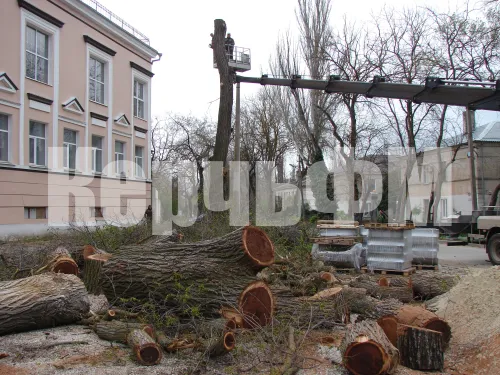 У остановки "Фабрика-Кухня" в Керчи продолжается спил стволов высоких деревьев