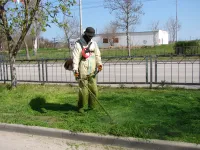 Новости » Общество: В районе остановки "Промбаза" в Керчи коммунальщики косят траву