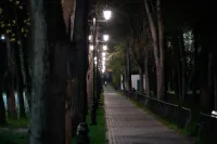 Новости » Общество: В Керчи завершили благоустройство аллеи на Казакова