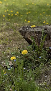 На этой неделе в Крыму снова ожидается похолодание и осадки