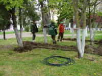 Новости » Общество: В сквере Дубинина Керчи продолжается монтаж автоматической системы полива