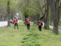 Новости » Общество: В Керчи на Казакова коммунальщики очищают газоны от скошенной травы