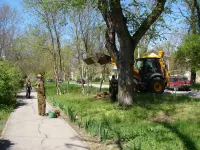 Новости » Общество: Вдоль улицы Суворова в Керчи убирают спиленные ветки