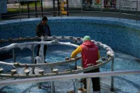 Новости » Общество: В Керчи приступили к расконсервации фонтанов