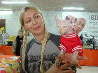 В Керчи проходит Международная выставка кошек