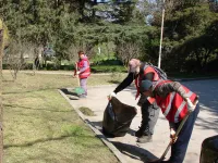 Новости » Общество: В Керчи наращивают темпы покоса травы на общественных территориях