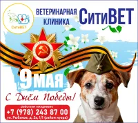 С праздником! Мира вашему дому и здоровья всем его обитателям