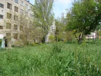 Новости » Общество: Территория общежития в Керчи заросла высокой травой