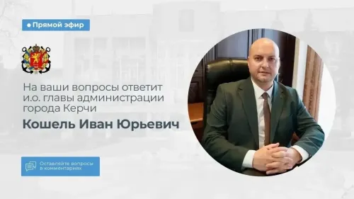 Администрация Керчи хочет попросить вернуться подрядчика, который занимался отловом собак в городе