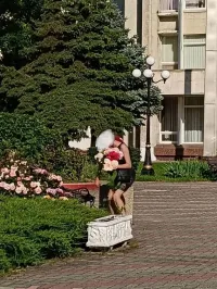 Новости » Криминал и ЧП: Керчанка решила "проредить" клумбы