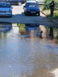 Новости » Коммуналка: В Керчи на улице Горького образовалось озеро
