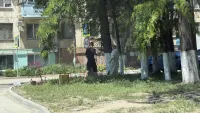 Новости » Общество: В Комсомольском парке скосят высокую траву