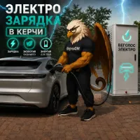 Новости » Общество: Бензин? Нет, не слышали! Где зарядить электрокары в Керчи