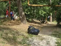 Новости » Коммуналка: Несмотря ни на какие обстоятельства УК Керчи должны косить траву - Кошель
