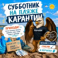 Новости » Общество » Экология: Керчан зовут на пляжный субботник с дискотекой