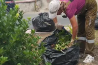 В Керчи продолжают следить за зелеными зонами