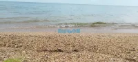 Жара в Крыму будет нарастать и превысит климатическую норму к концу следующей недели