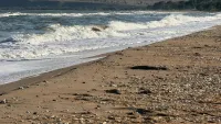 Жара в Крыму на следующей неделе отступит