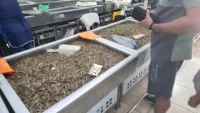 В рыбном корпусе на центральном рынке в Керчи 21 августа было так