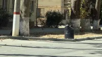 В Керчи коммунальщики борются с листвой