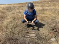 Под Керчью обезвредили 11 взрывоопасных предметов