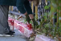 Новости » Общество: В преддверии Дня города усилена работа по наведению порядка