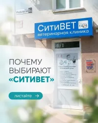 Когда питомцу нужна помощь — мы рядом!