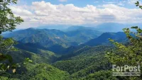 В Крыму туристы не везде смогут погулять по лесу