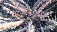 Новости » Экономика: В части Крыма ввели ЧС из-за погодных условий