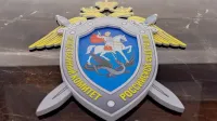 Новости » Криминал и ЧП: В Крыму СК возбудил дело по фактам истязаний воспитанников детского дома тренером по самбо
