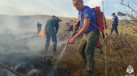 Новости » Общество: В Крыму более тысячи волонтеров помогали тушить природные пожары в течение года