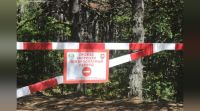 Новости » Экология: С 1 июля в Крыму ограничили посещение лесов